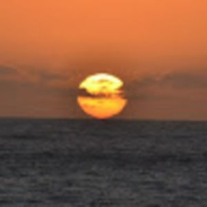 Meet your Posher, Annette